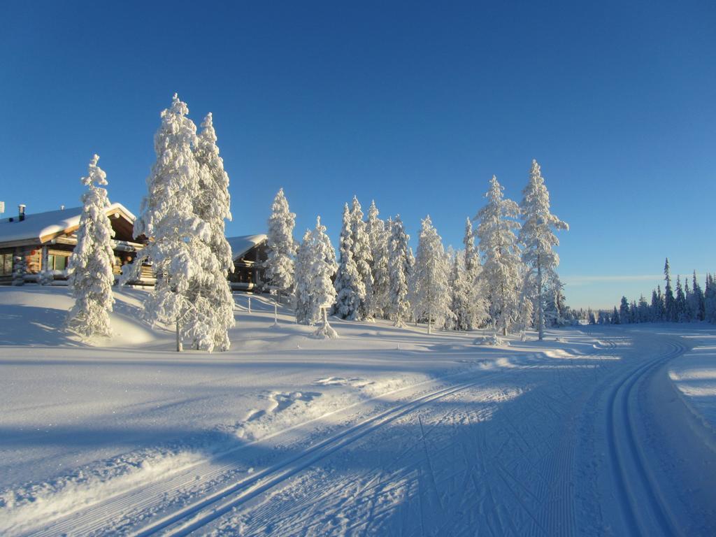 Rukakaiku Cottages Værelse billede